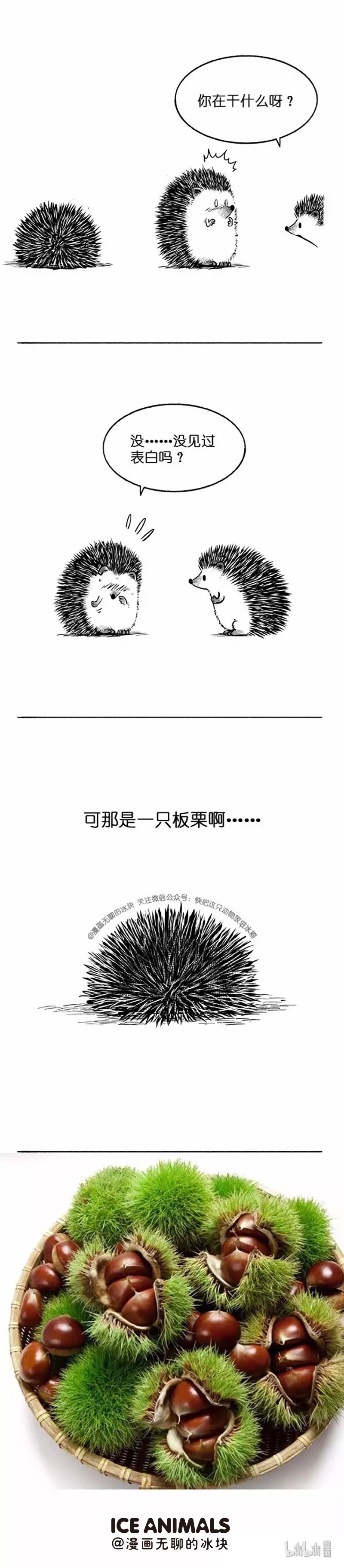 快把动物放进冰箱011