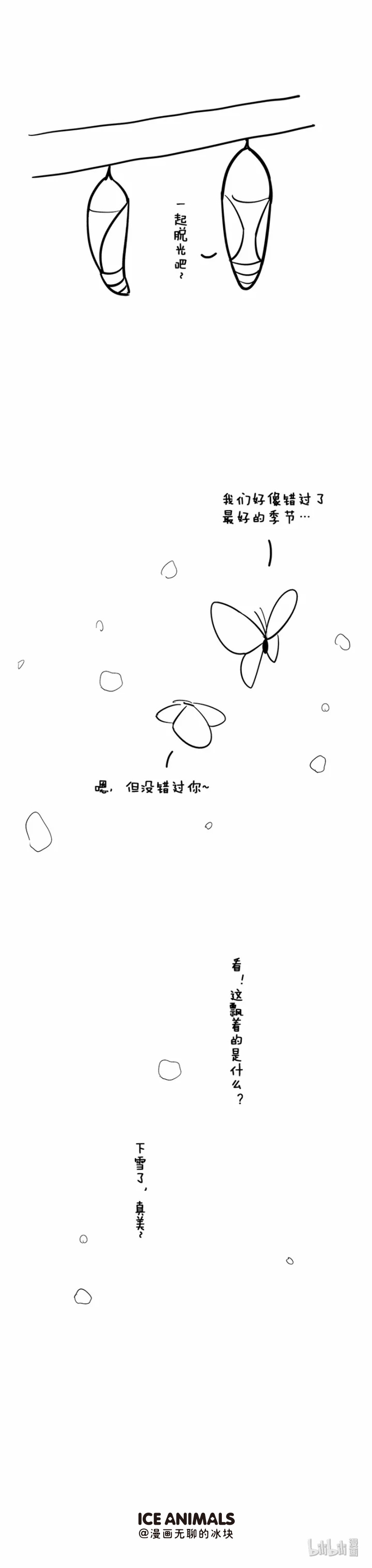 快把动物放进冰箱012