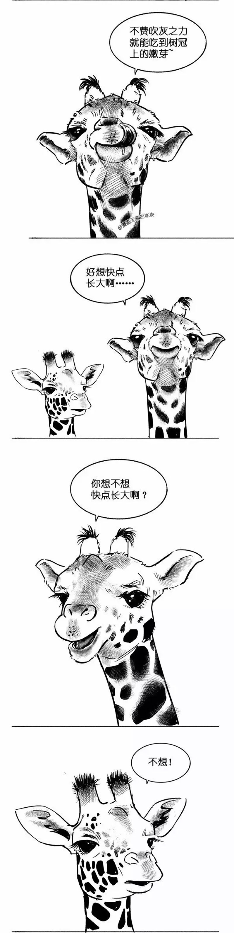 快把动物放进冰箱013
