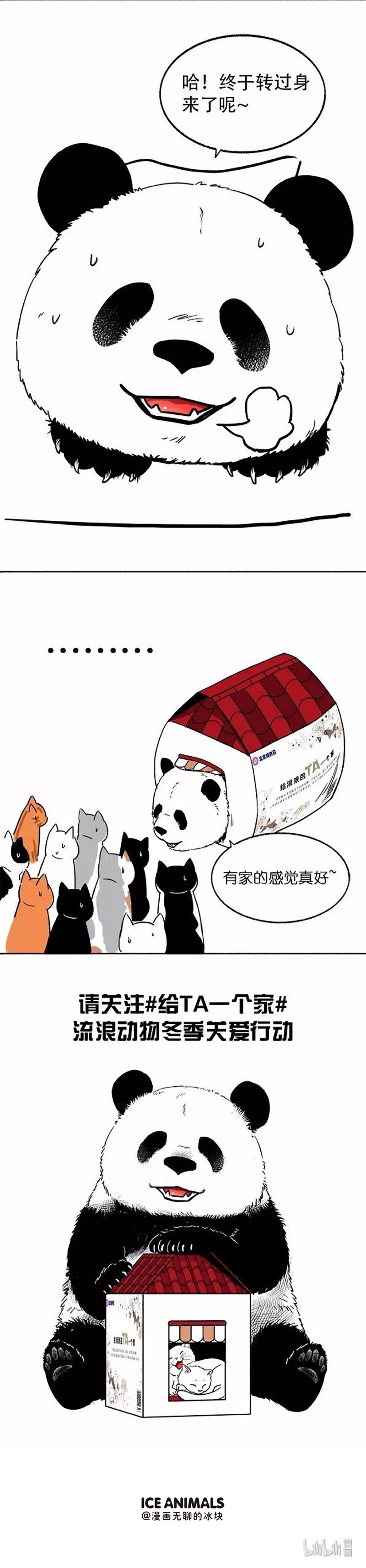 快把动物放进冰箱015