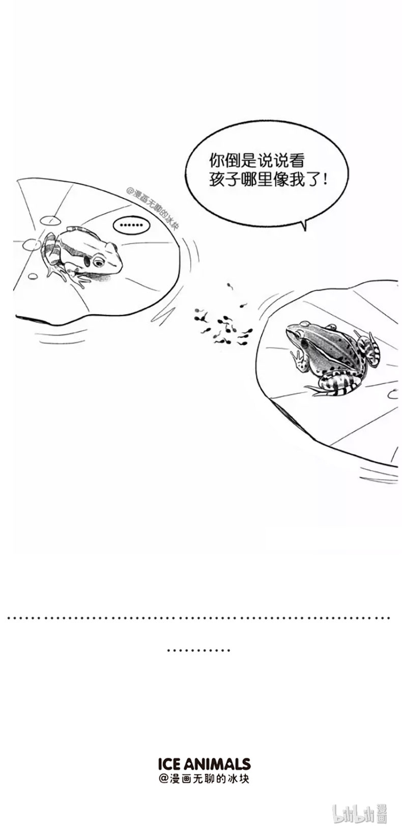 快把动物放进冰箱017