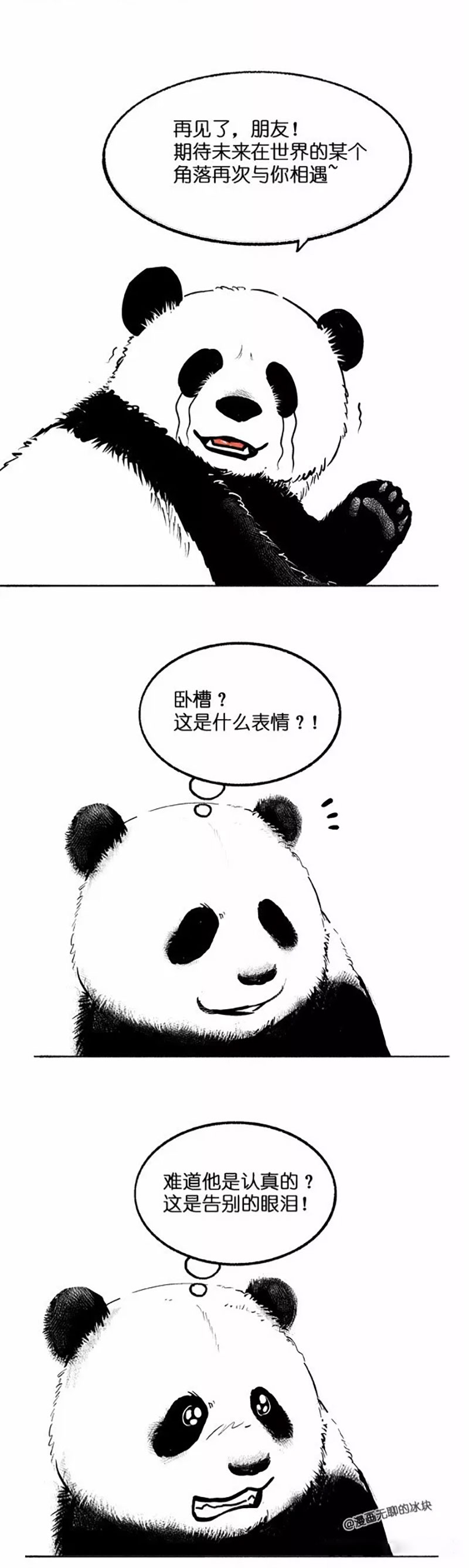 快把动物放进冰箱018