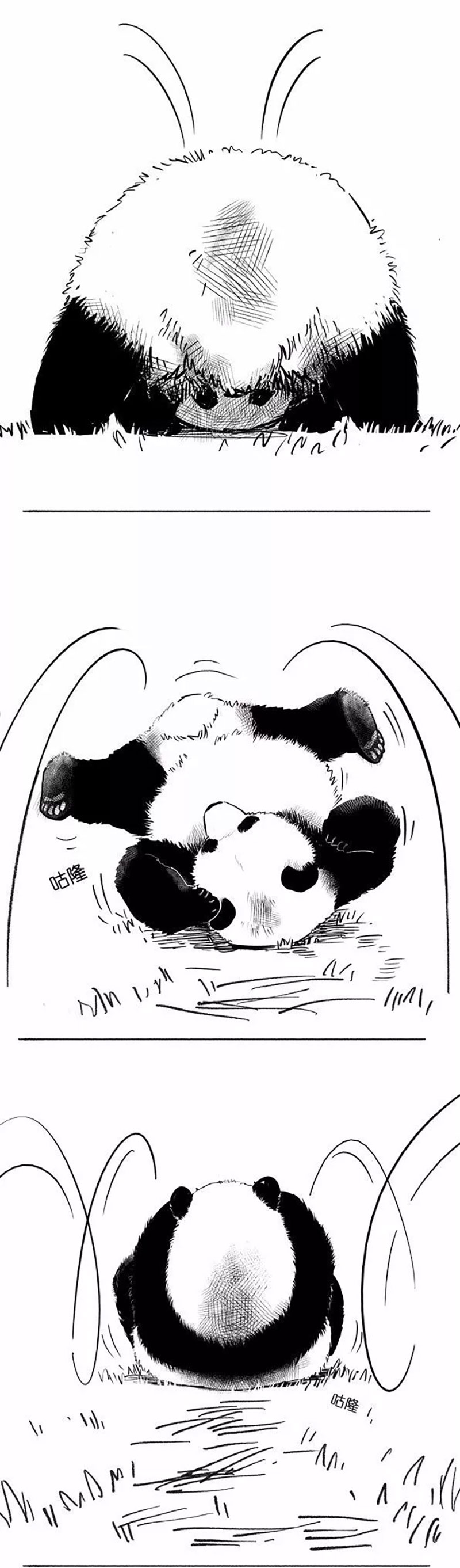 快把动物放进冰箱018
