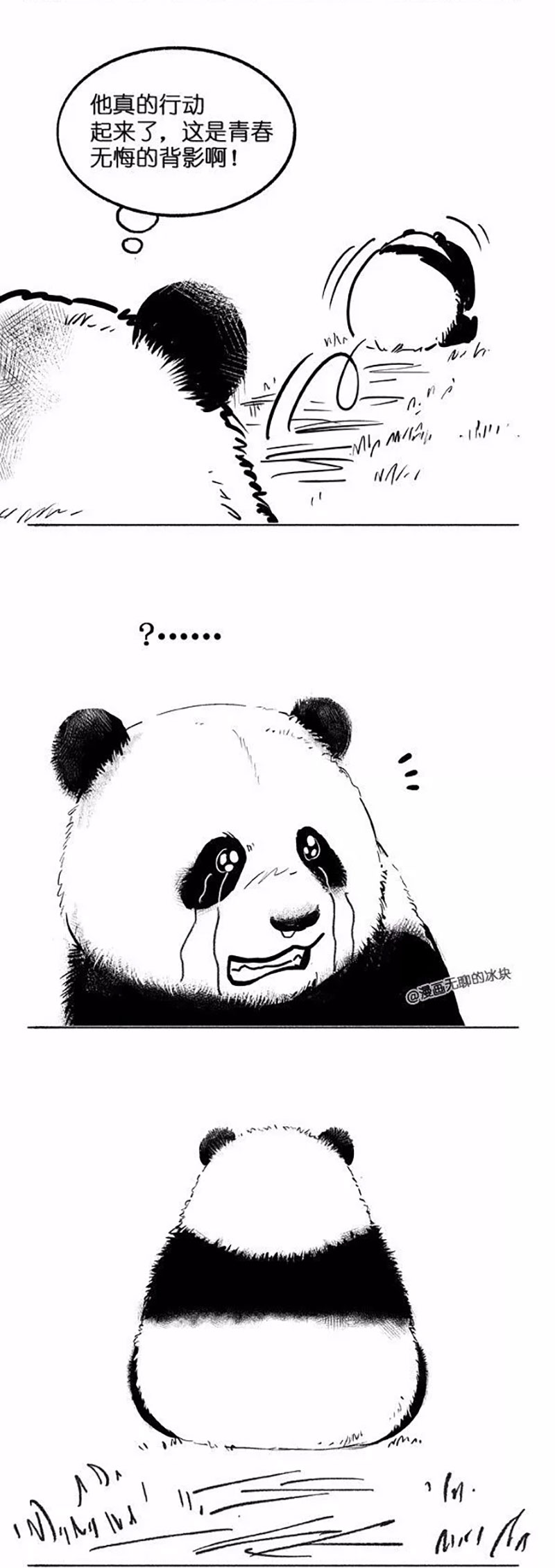 快把动物放进冰箱018
