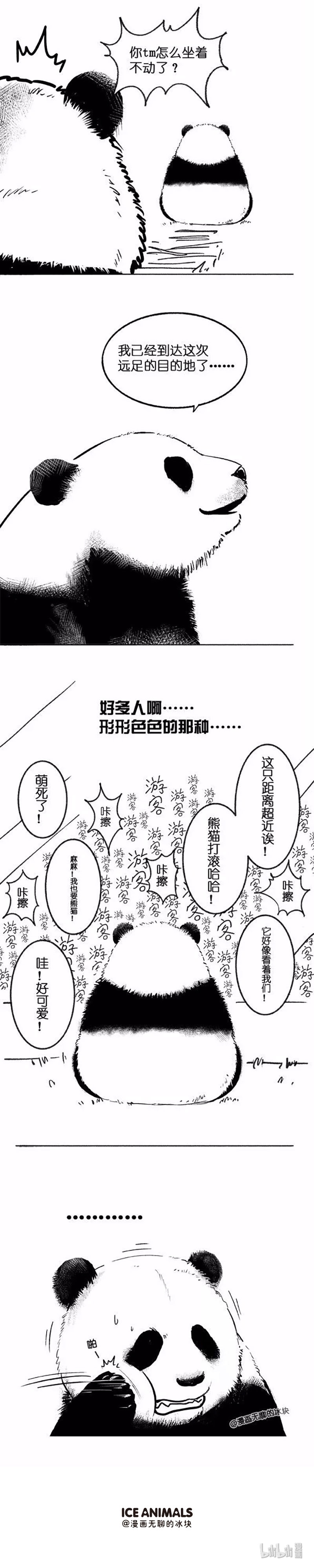 快把动物放进冰箱018