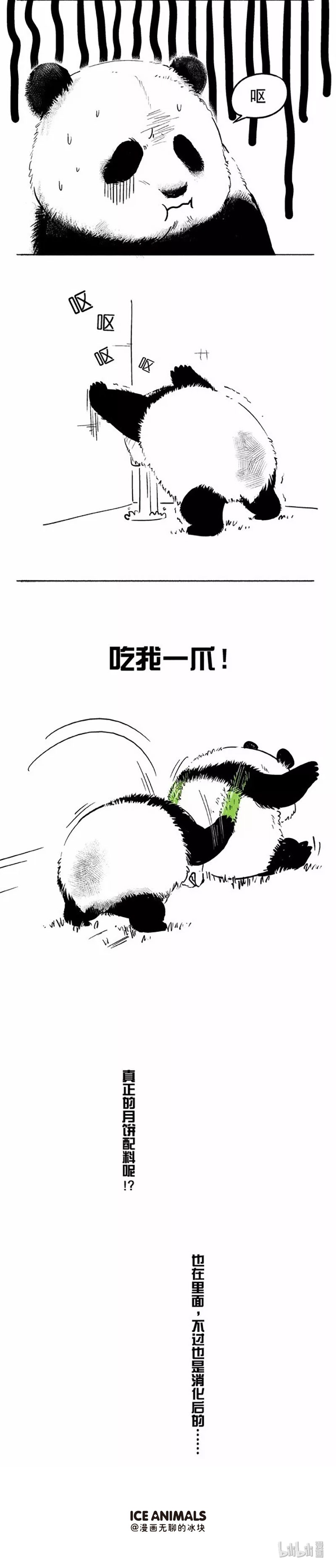 快把动物放进冰箱019