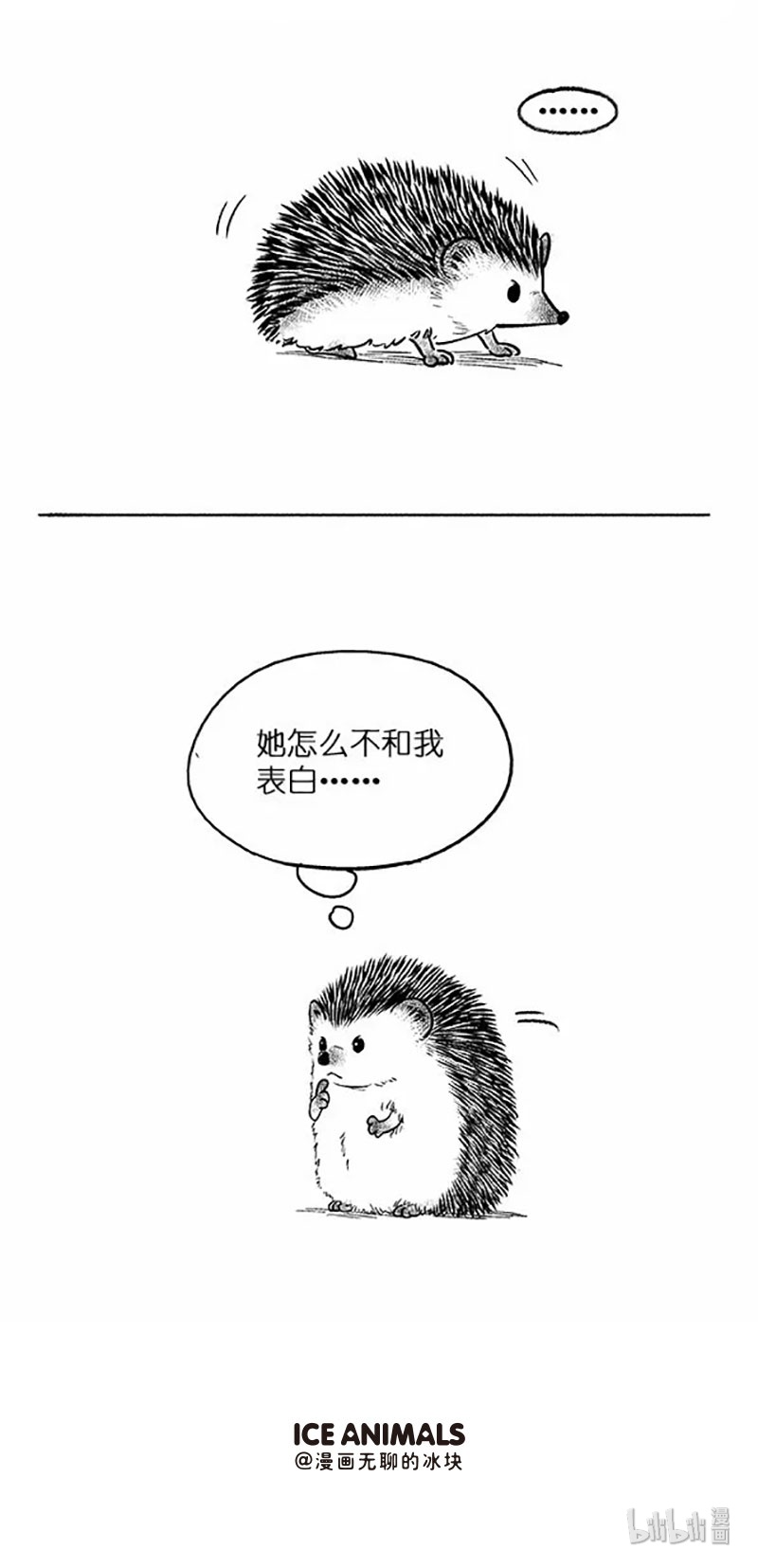 快把动物放进冰箱022