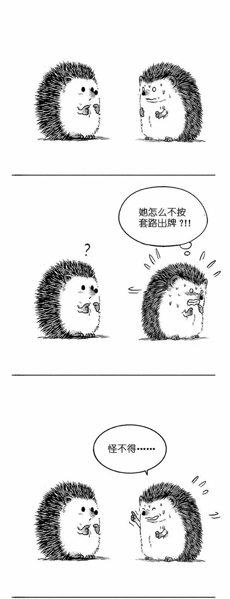 快把动物放进冰箱023