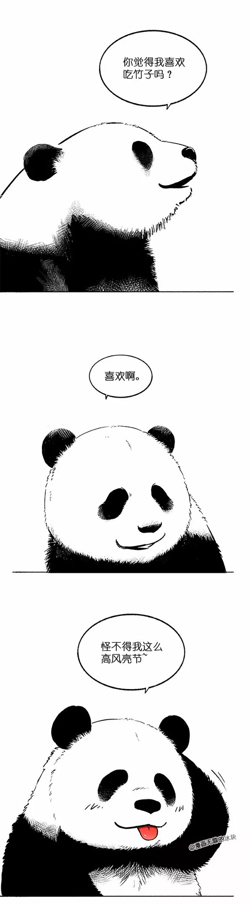 快把动物放进冰箱025