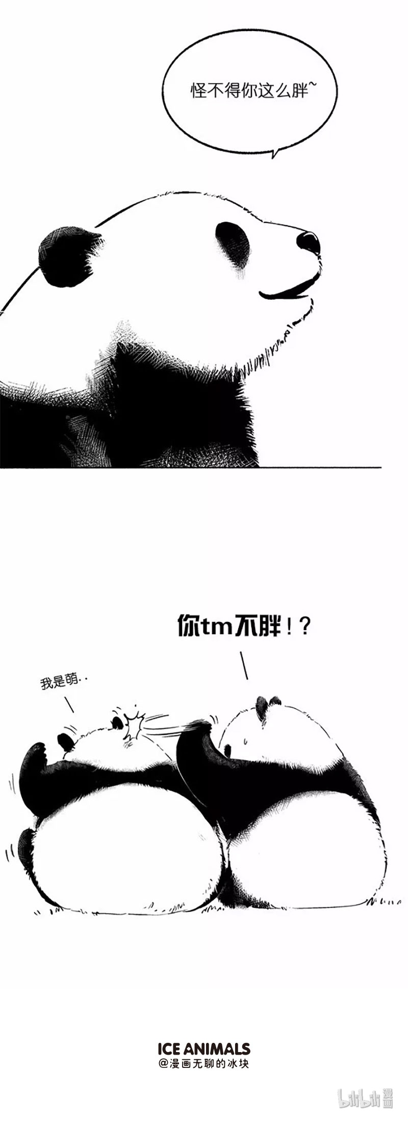 快把动物放进冰箱025