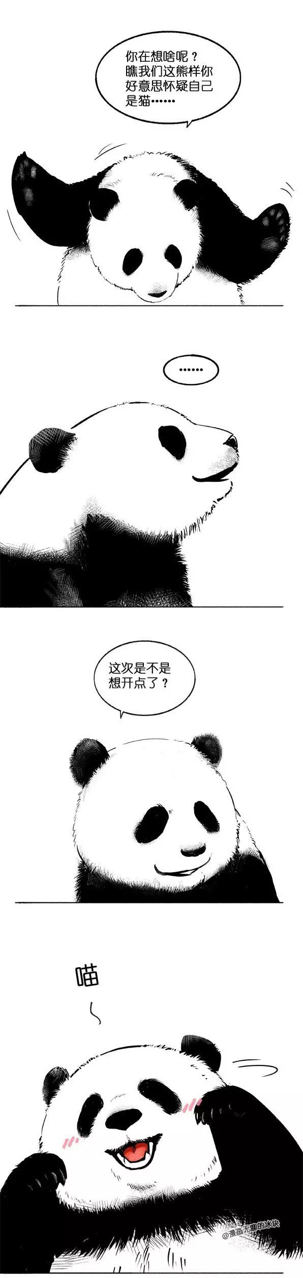 快把动物放进冰箱029