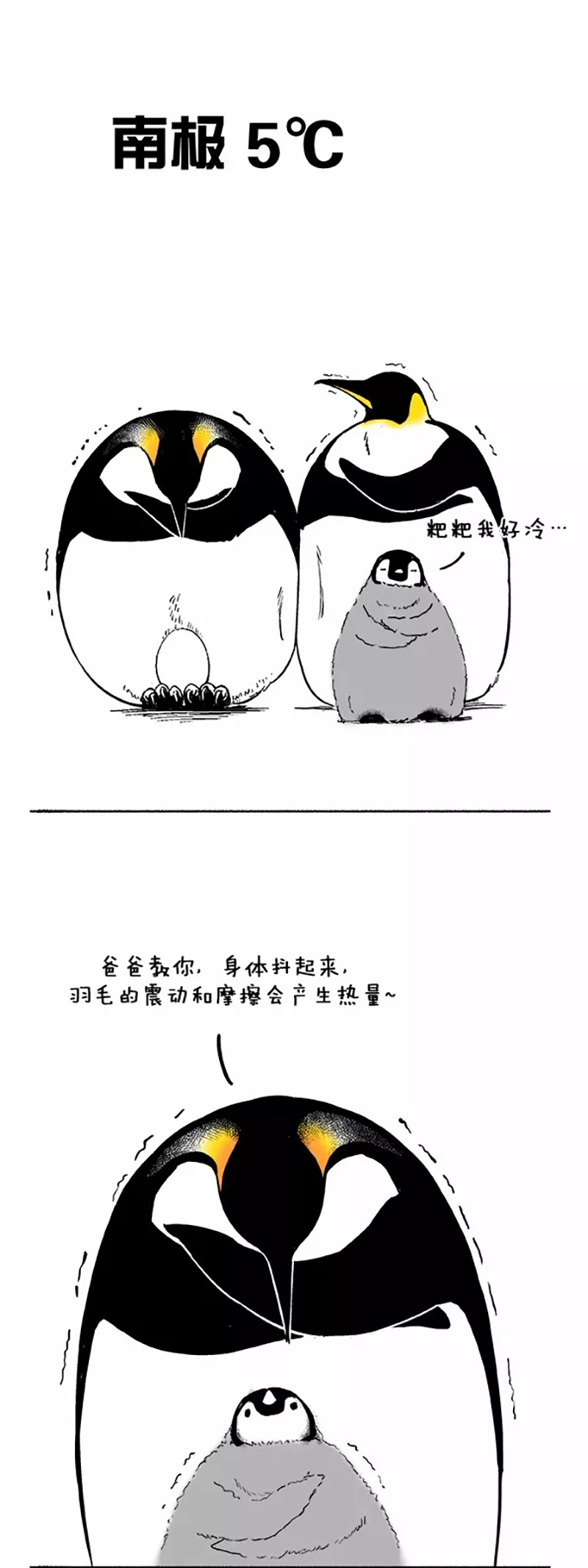 快把动物放进冰箱034