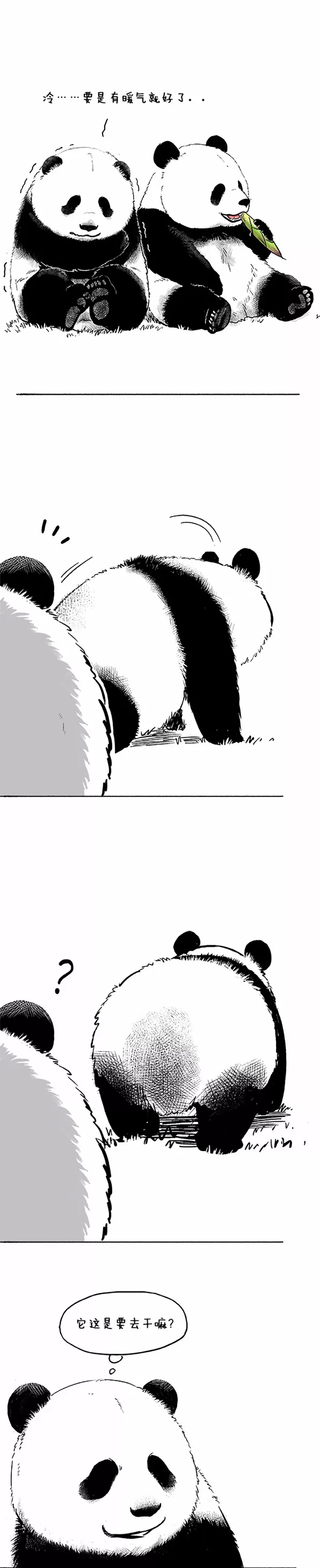快把动物放进冰箱036