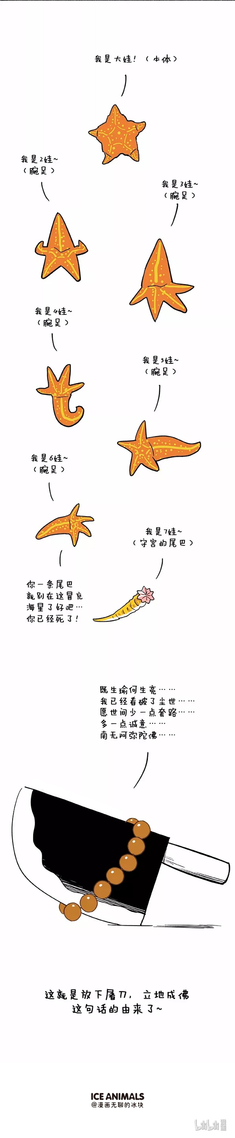 快把动物放进冰箱039
