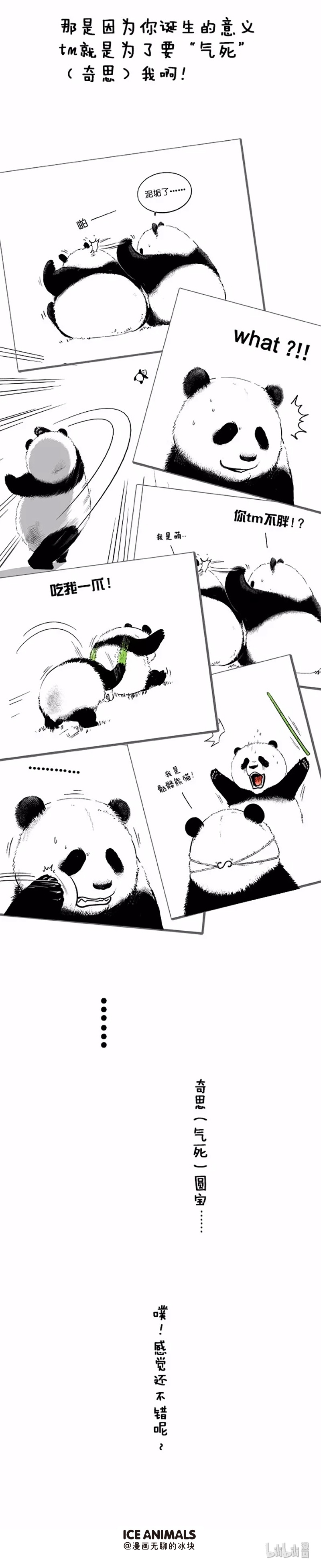 快把动物放进冰箱042