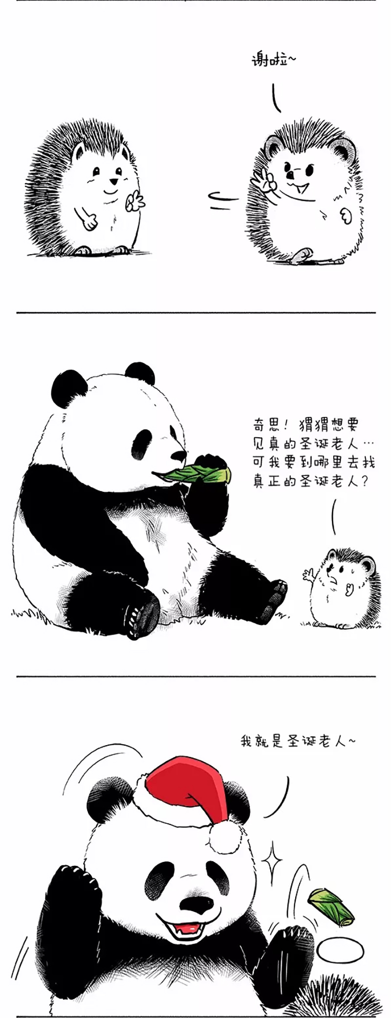 快把动物放进冰箱044