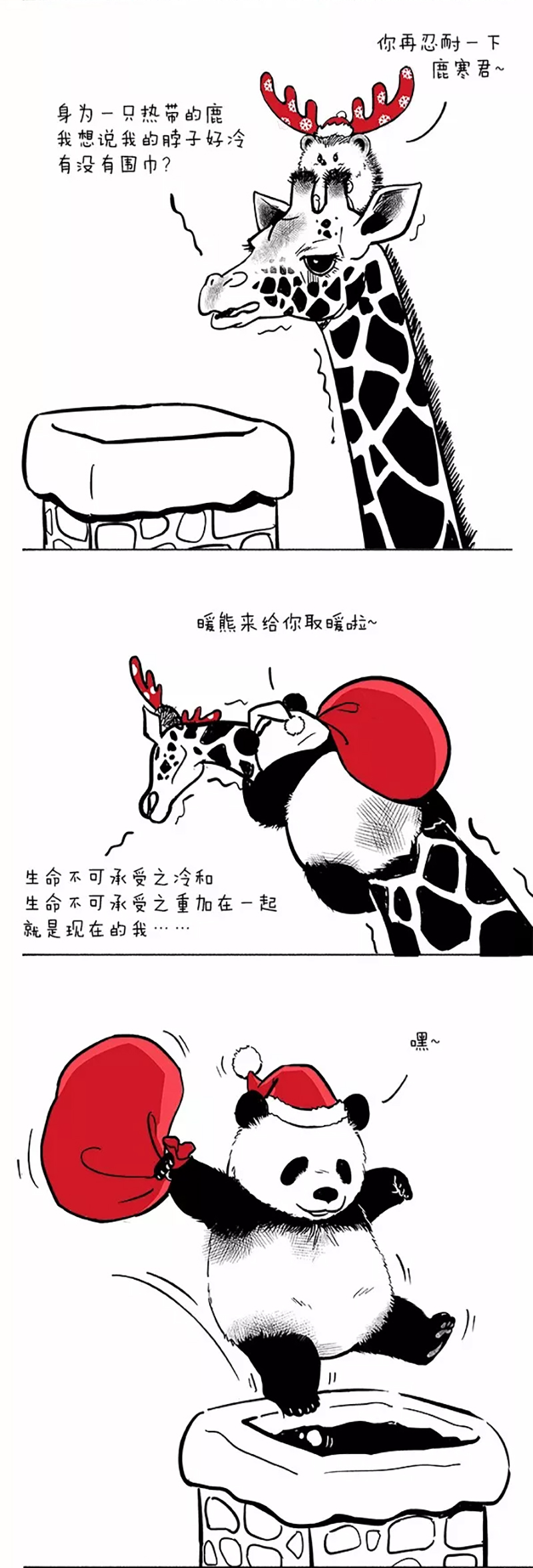 快把动物放进冰箱044