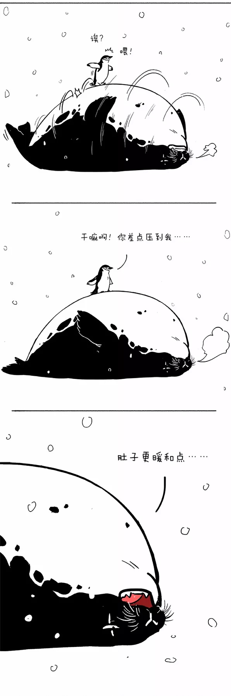 快把动物放进冰箱045