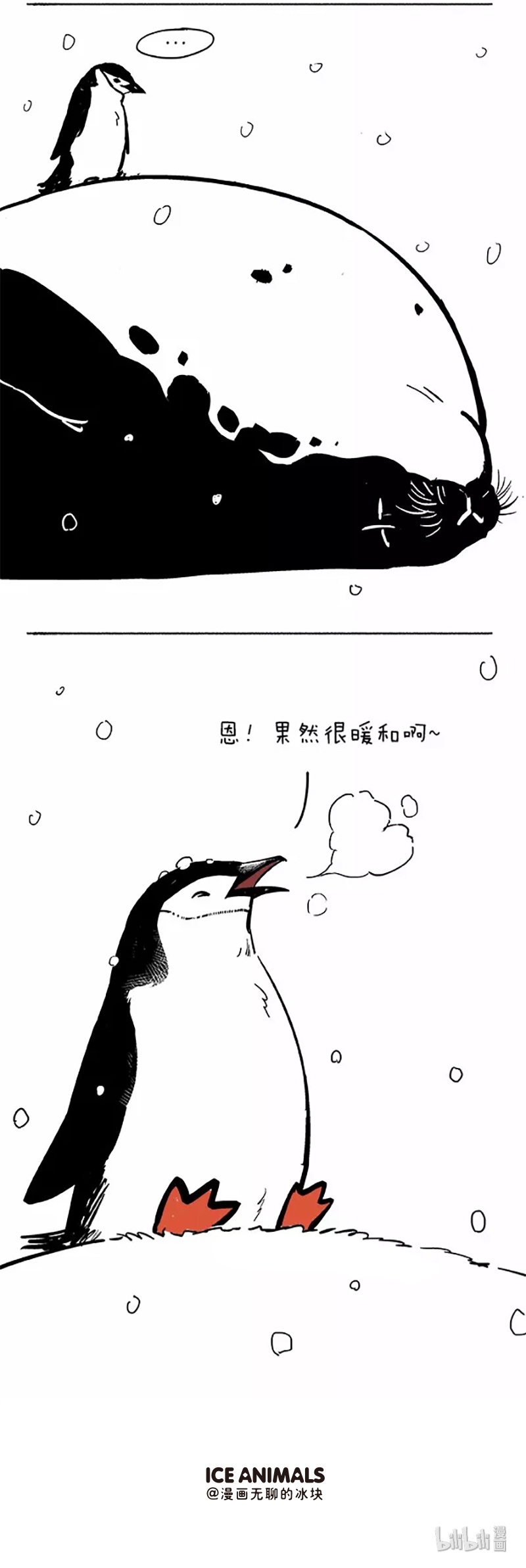 快把动物放进冰箱045
