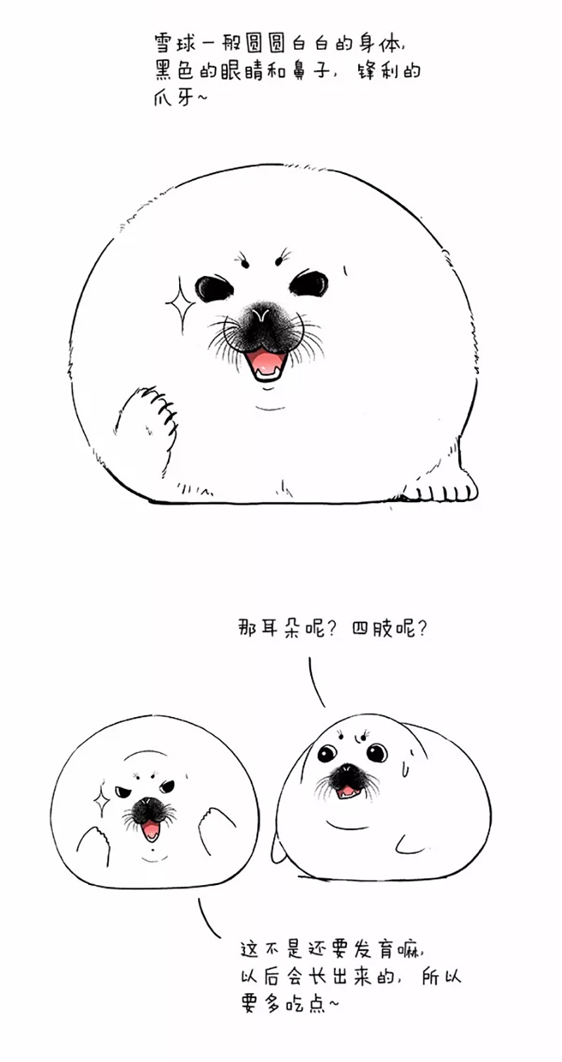 快把动物放进冰箱046
