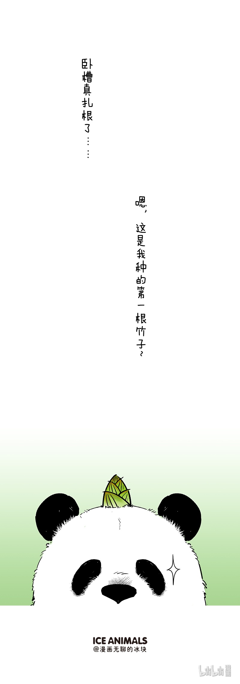 快把动物放进冰箱047