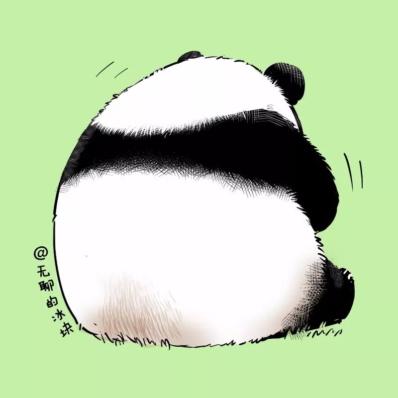 快把动物放进冰箱047