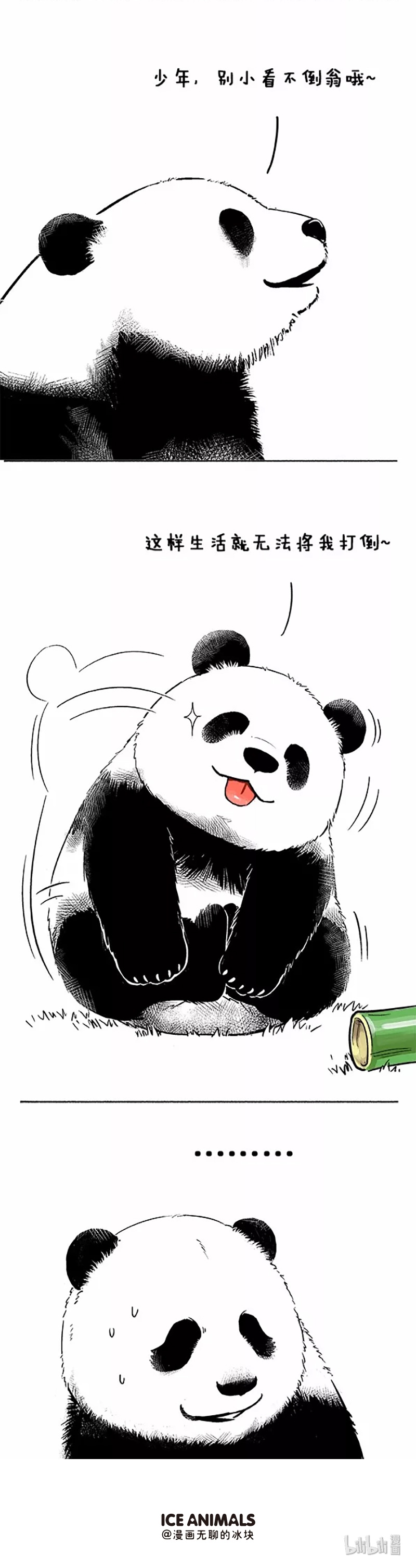 快把动物放进冰箱048