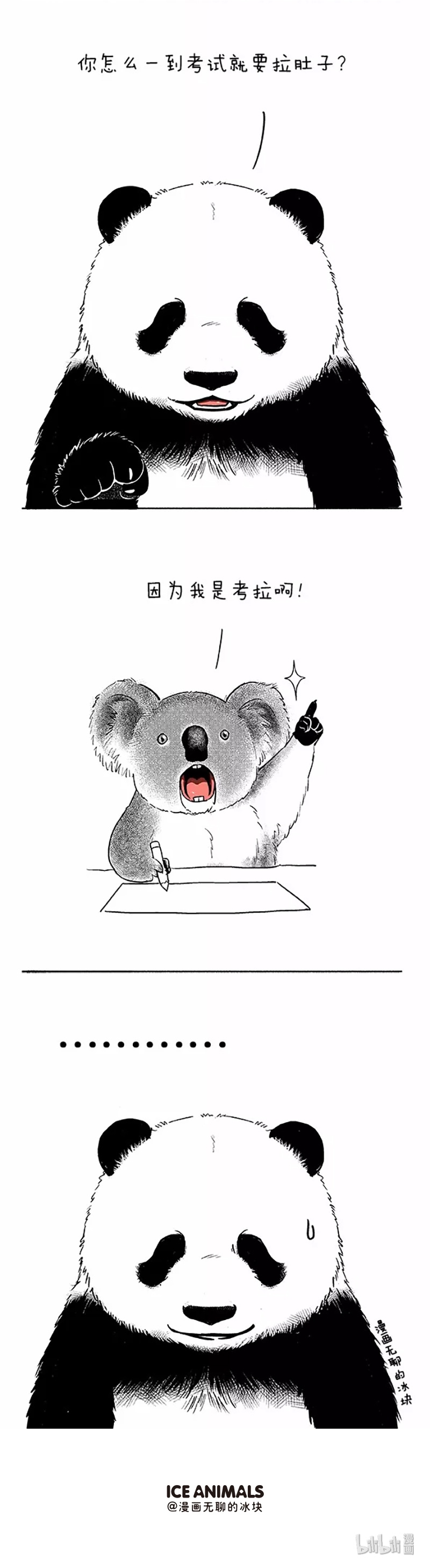 快把动物放进冰箱050