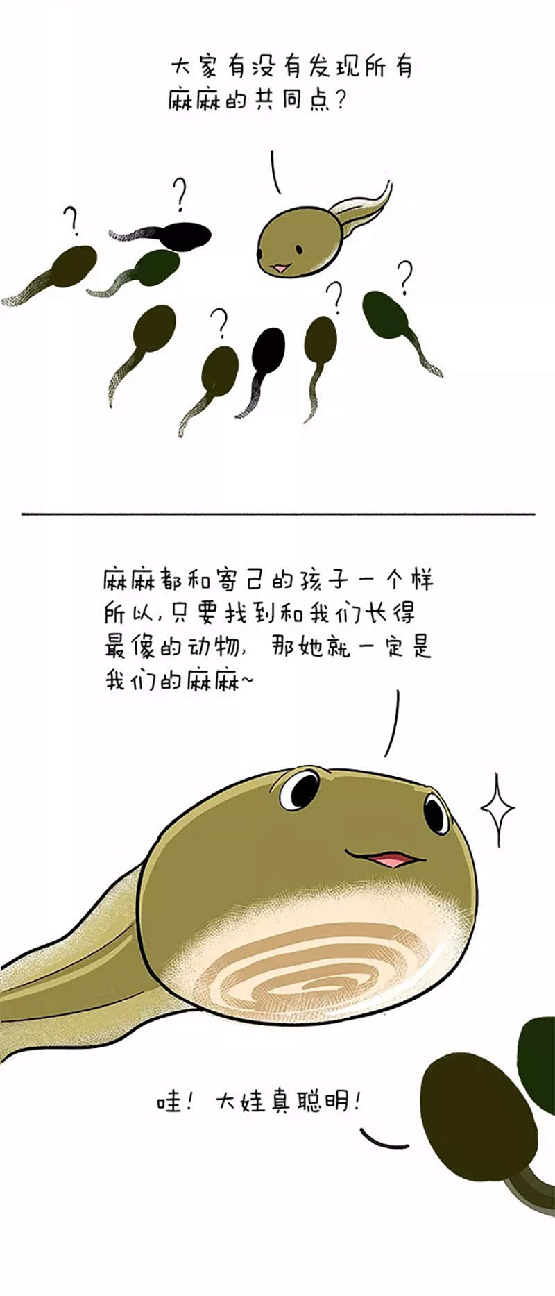 快把动物放进冰箱064 小蝌蚪找麻麻01