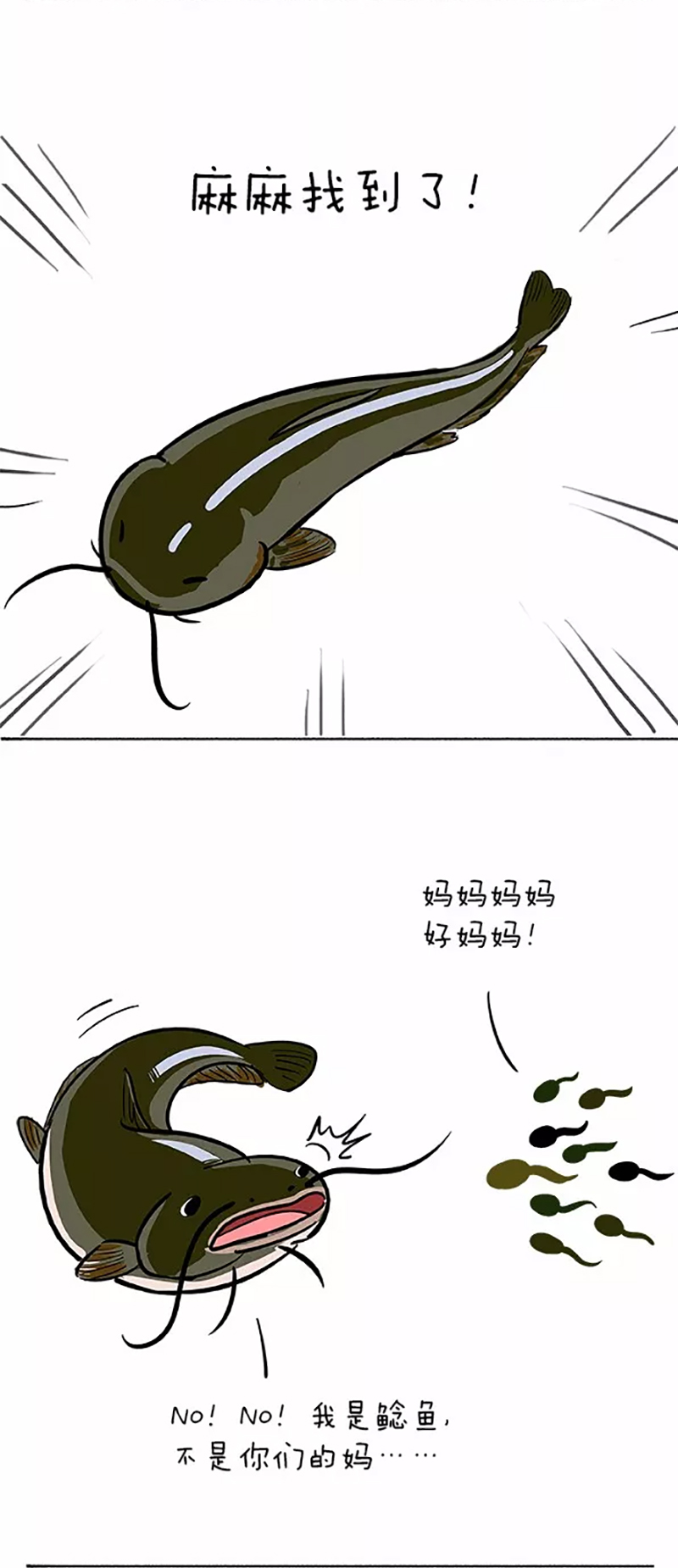 快把动物放进冰箱064 小蝌蚪找麻麻01