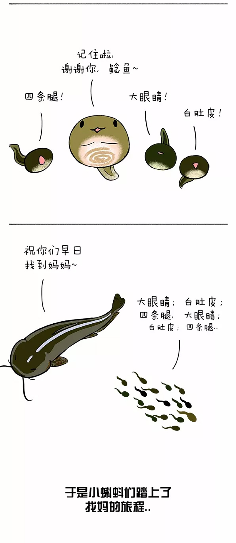 快把动物放进冰箱064 小蝌蚪找麻麻01