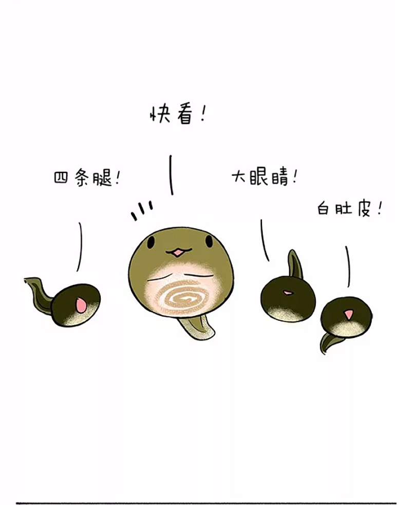 快把动物放进冰箱065 小蝌蚪找麻麻02