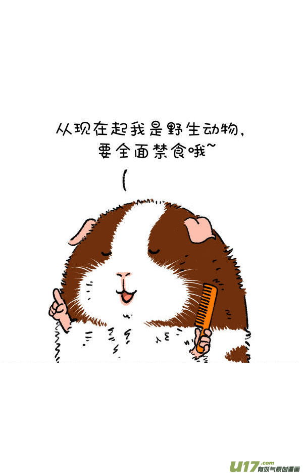 快把动物放进冰箱梳头／女王节快乐~