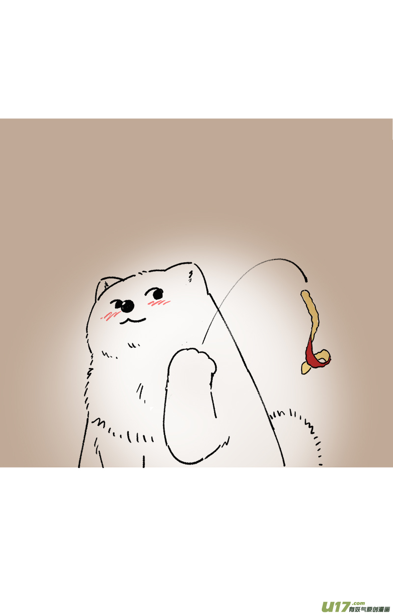 快把动物放进冰箱191花纹／192占卜
