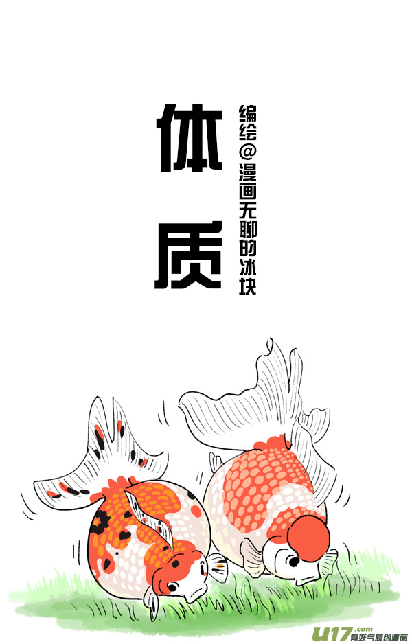 快把动物放进冰箱如何判断自己是不是易胖体质／车票
