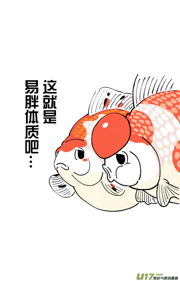 快把动物放进冰箱如何判断自己是不是易胖体质／车票