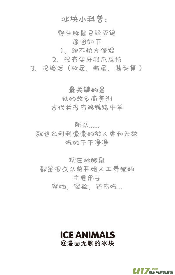 快把动物放进冰箱梳毛／女王节快乐~