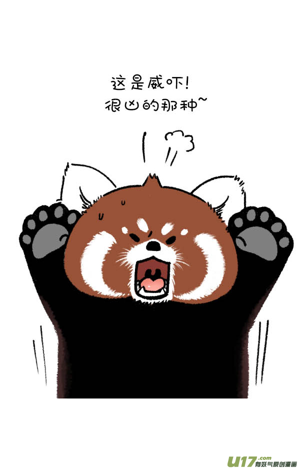 快把动物放进冰箱熊挪活，树挪死