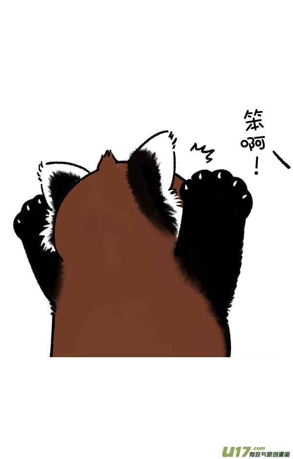 快把动物放进冰箱熊挪活，树挪死