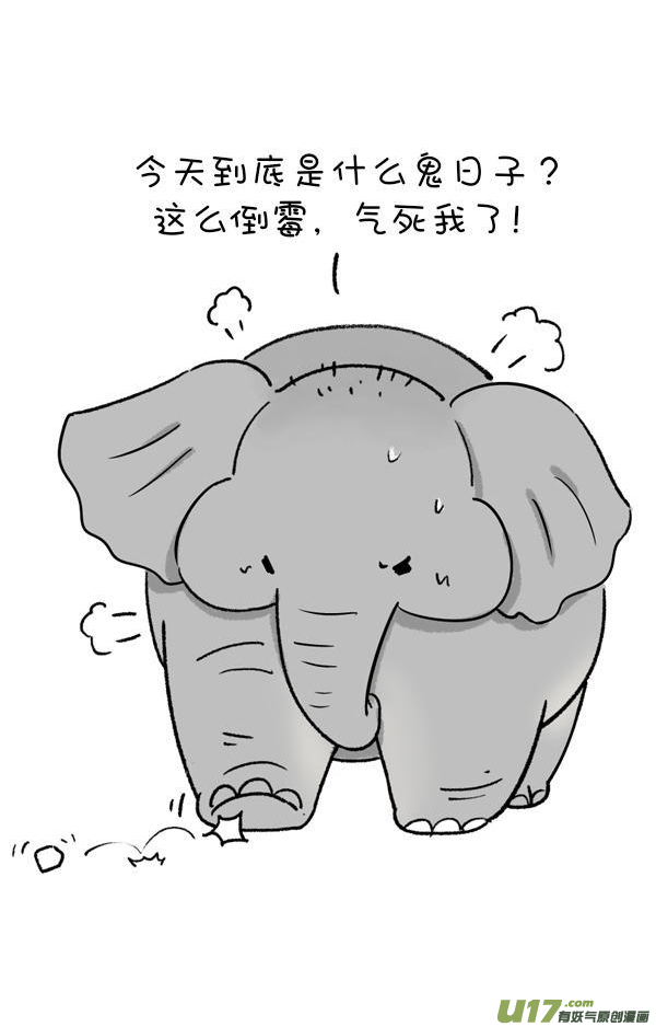 快把动物放进冰箱减肥还是要找对人~