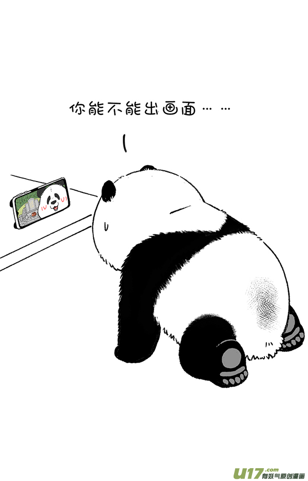 快把动物放进冰箱愚人节／清明