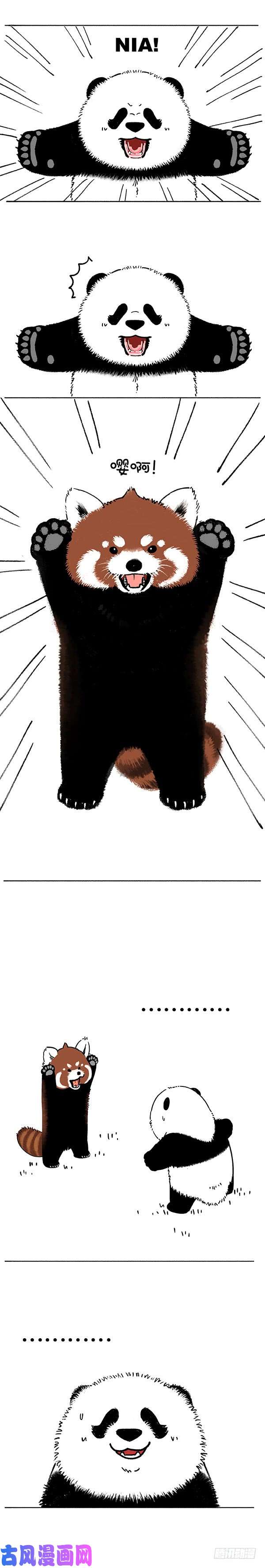 快把动物放进冰箱199对不起，我是熊猫！