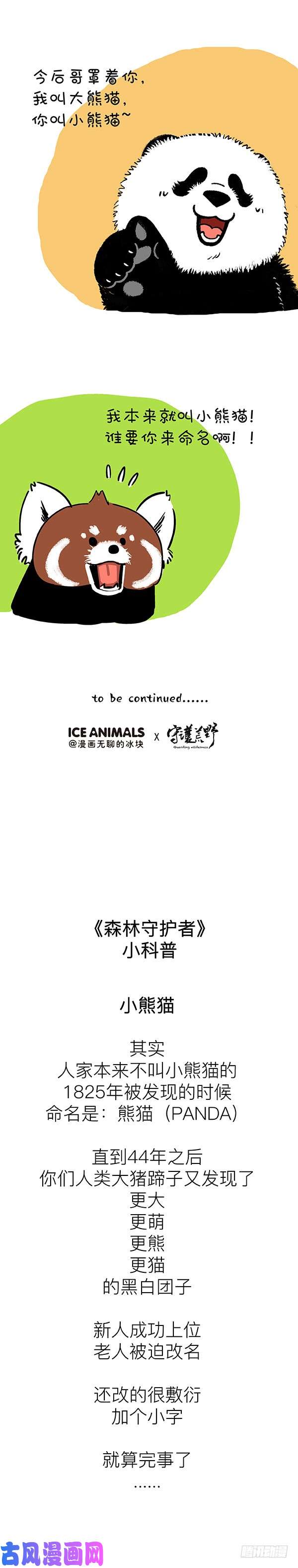 快把动物放进冰箱199对不起，我是熊猫！