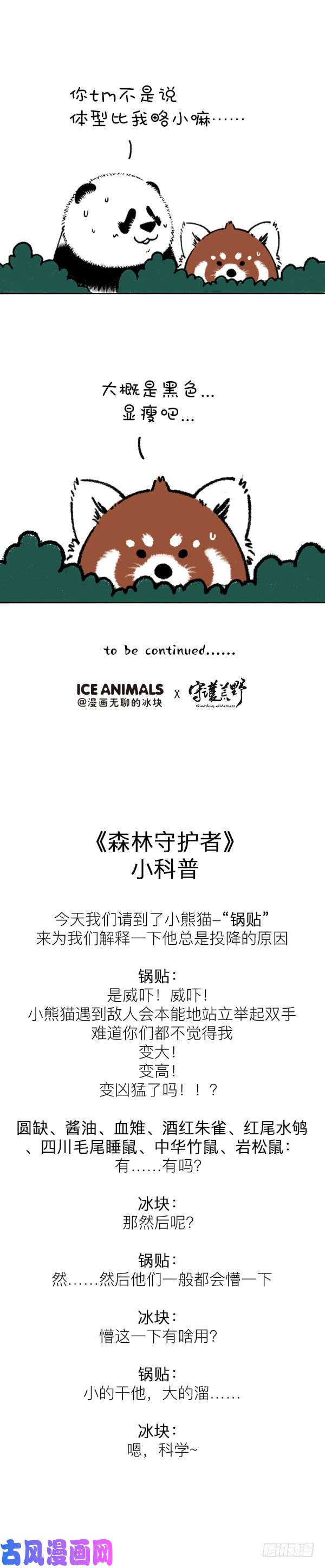 快把动物放进冰箱200你这个习惯得改改