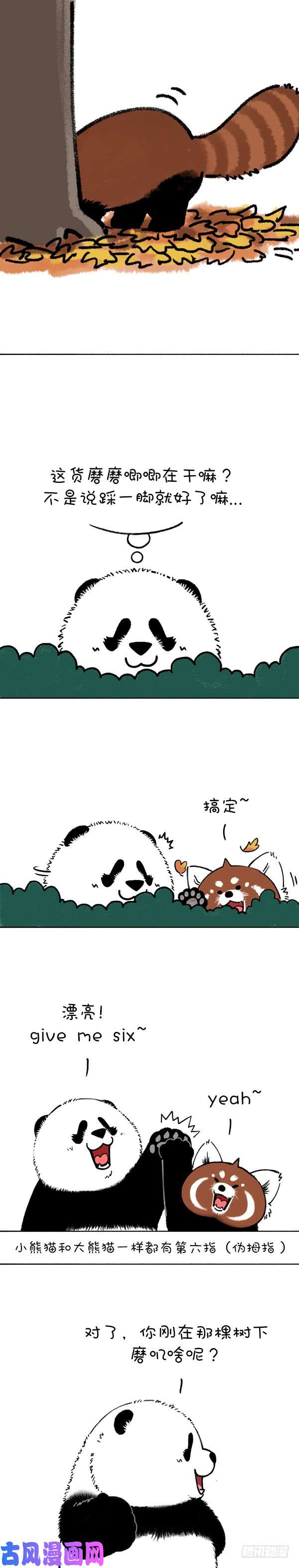 快把动物放进冰箱201今天就让你见识见识哥的手段