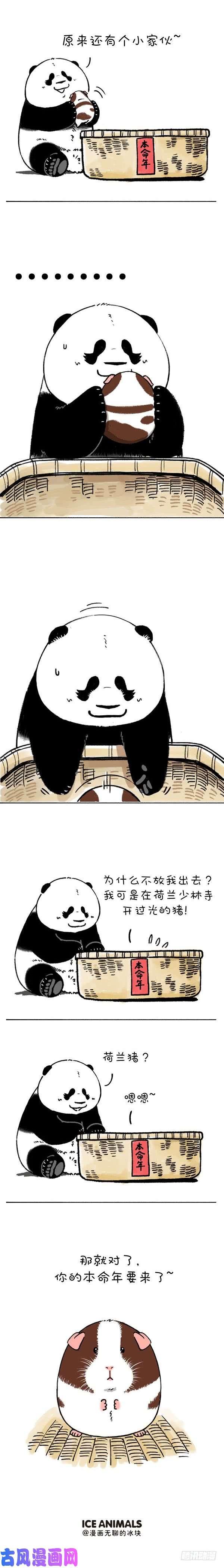 快把动物放进冰箱204没想到你是这样的猪