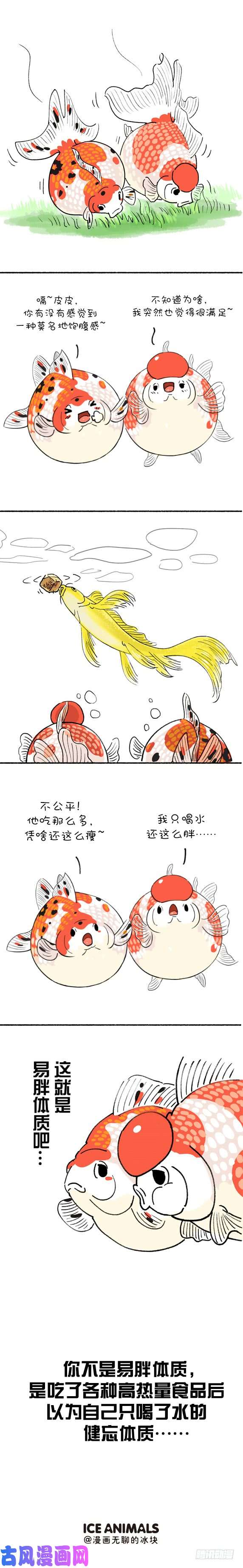快把动物放进冰箱206如何判断自己是不是易胖体质