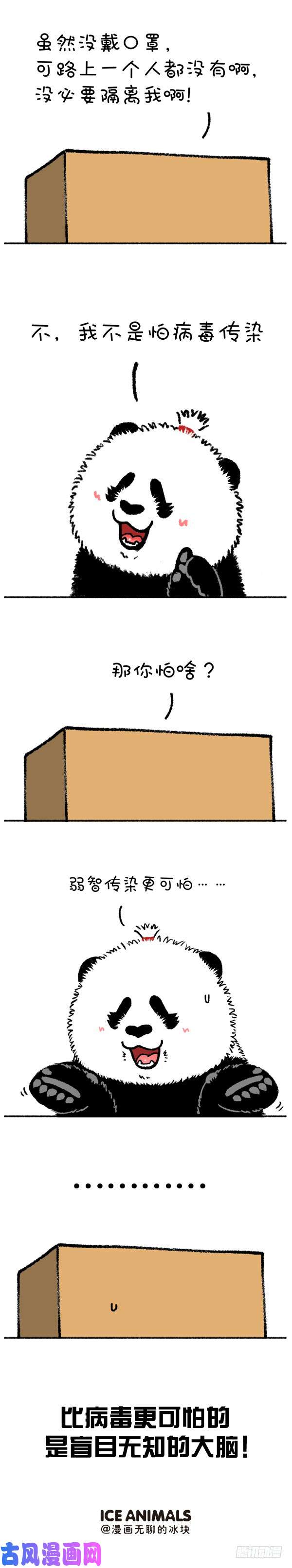 快把动物放进冰箱210有些愚昧也需要被隔离