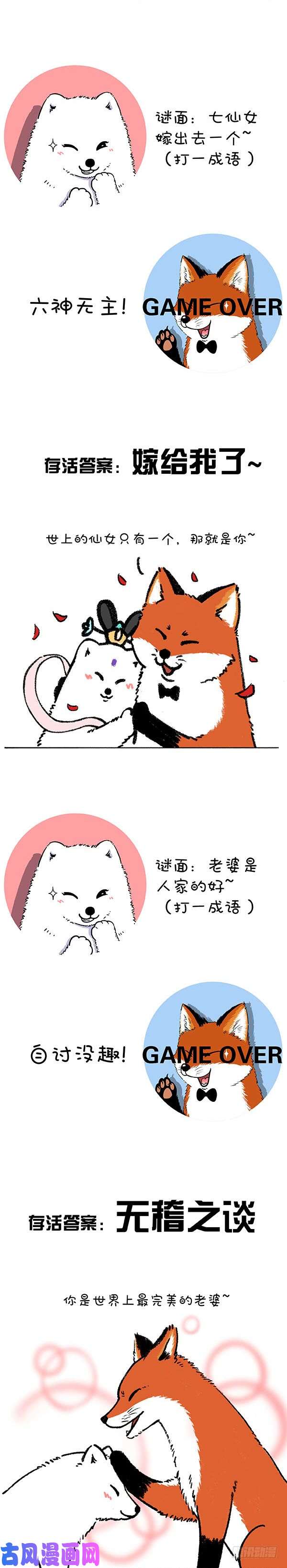 快把动物放进冰箱211对元宵彩灯和灯谜的认知升级