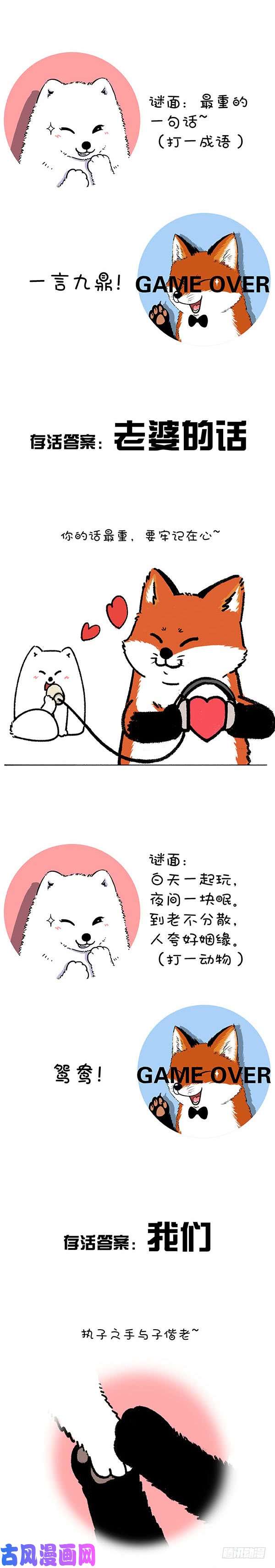快把动物放进冰箱211对元宵彩灯和灯谜的认知升级